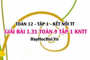 Giải 1.31 Toán 12 tập 1 SGK Kết nối tri thức: Tính đơn điệu của hàm số